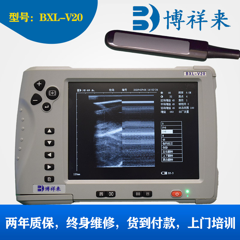 牛用B超m+B模式