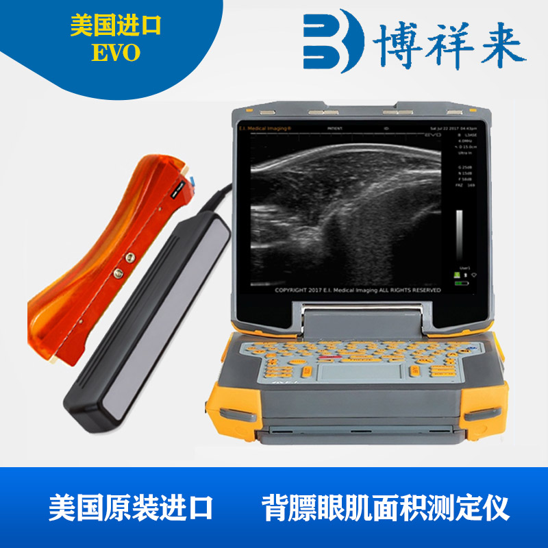 进口牛用B超测背膘探头