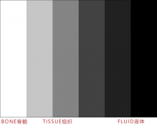 判断猪牛羊有没有仔的方法兽用B超图片判断方法