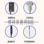 兽用b超探头都有哪几种？区别是什么？