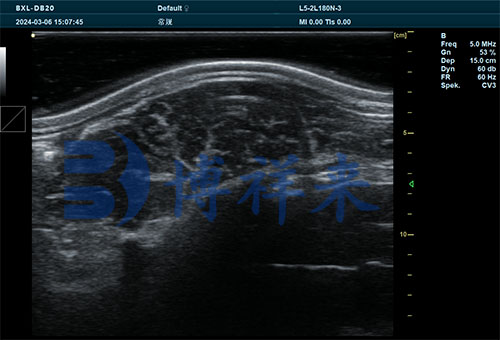 BXL-DB20 牛背膘眼肌 (2).jpg