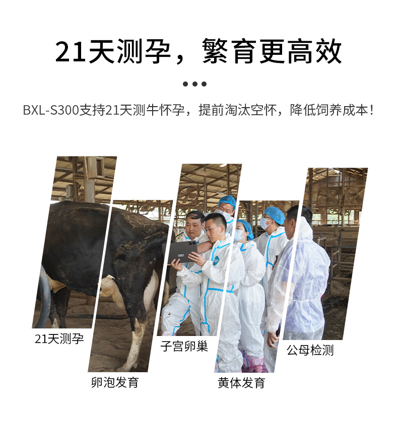 BXL-S300详情图_02.jpg