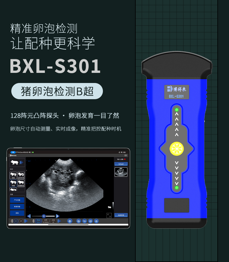 BXL-S301_01.jpg