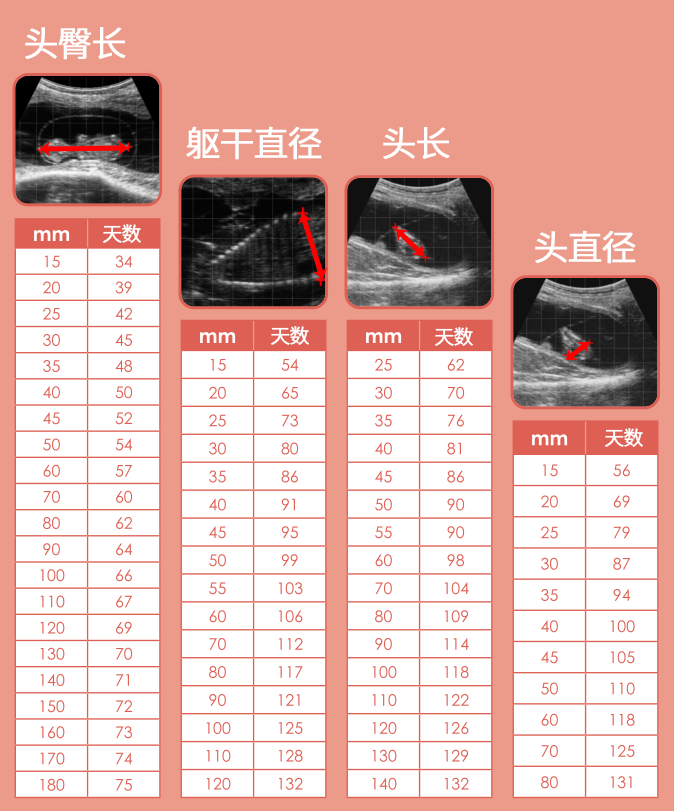 牛胎龄判断.png