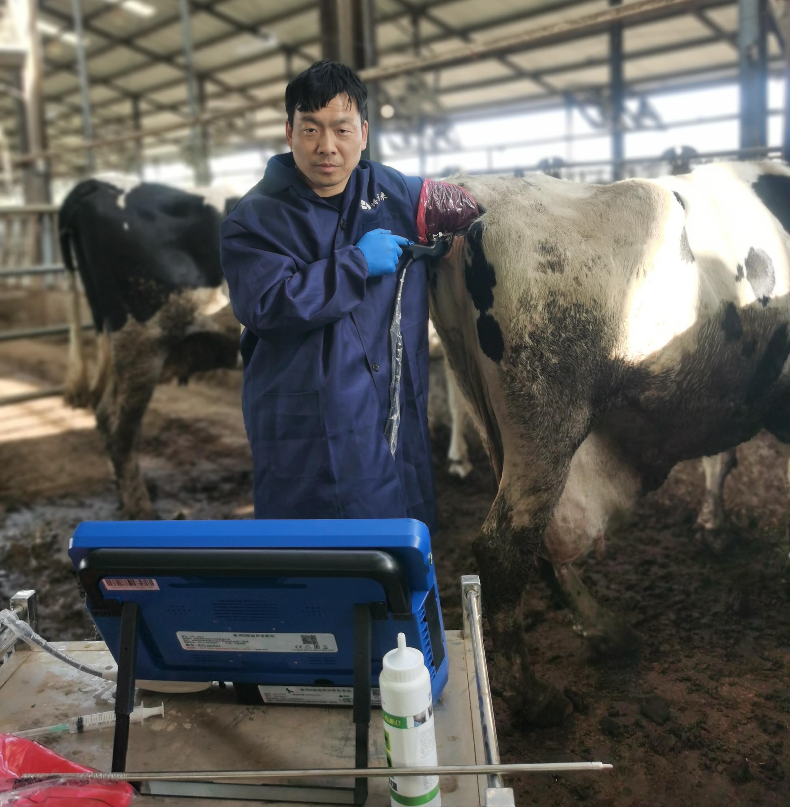 牛活体采卵仪 牛活体采卵仪