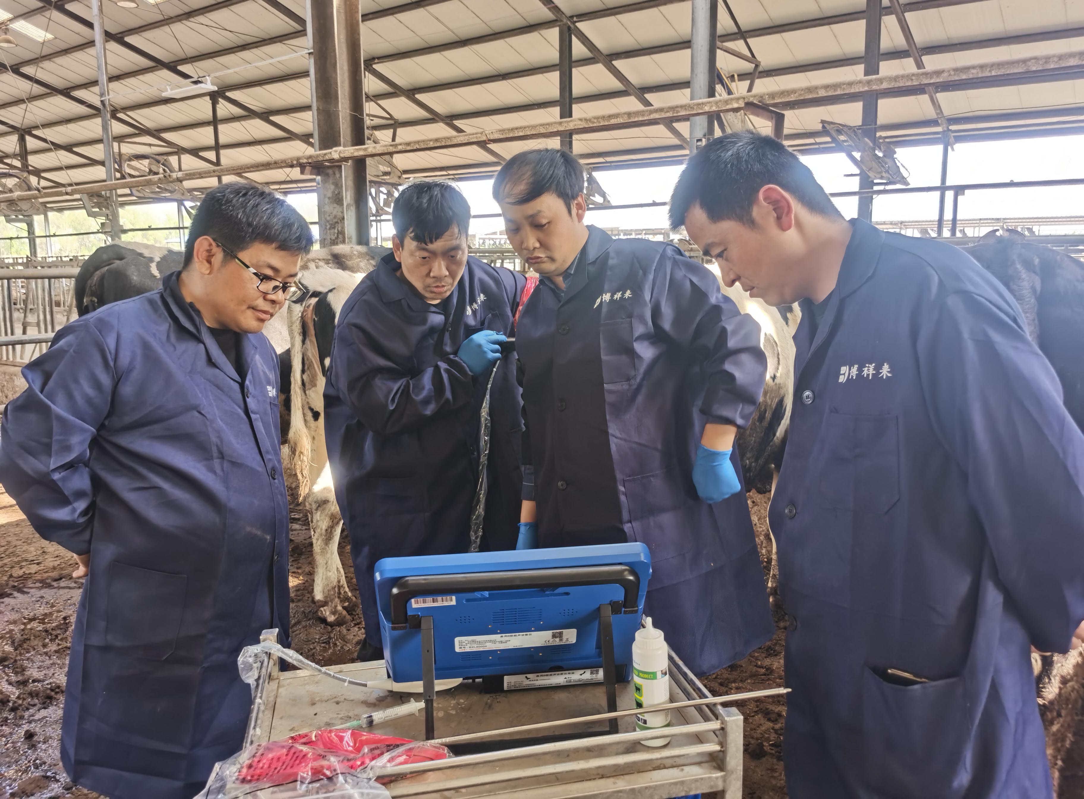 高清活体采卵B超机 高清活体采卵B超机