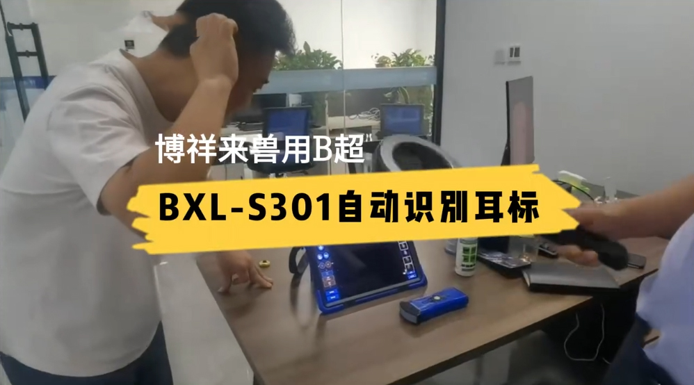 博祥来兽用B超机可以自动识别电子耳标，方便牛场管理